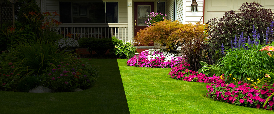 Violet Landscapers